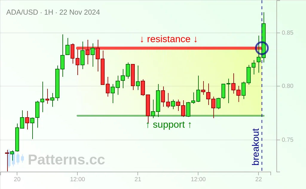 Cardano: 네모 (Rectangle) 2024\u002D11\u002D22.