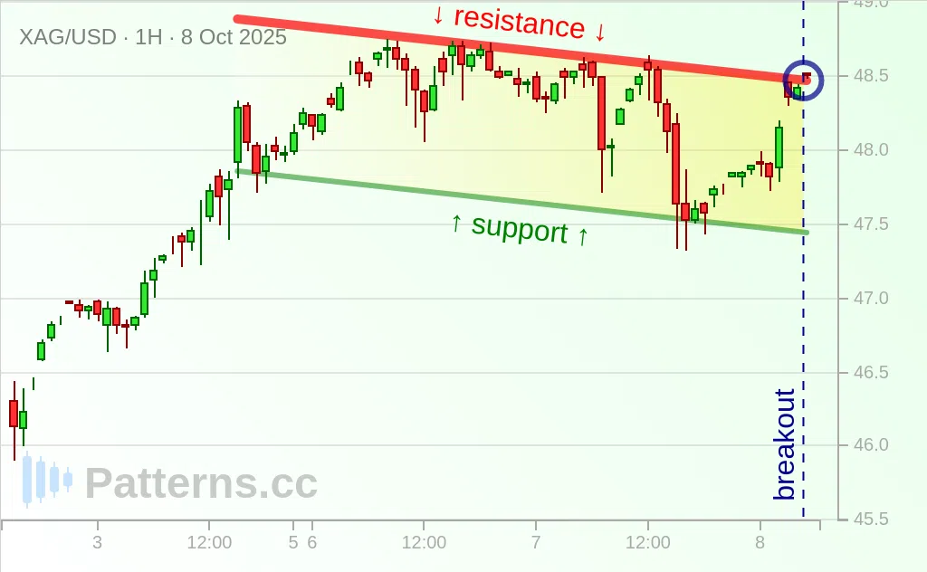 Silver: Bullish Flag 10/08/2025