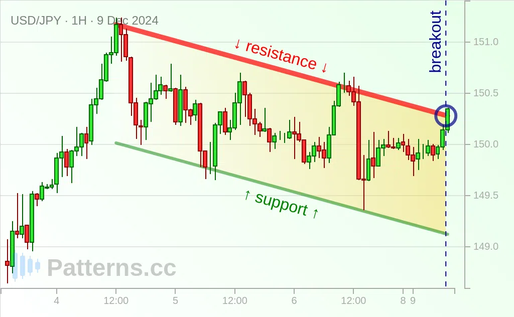 USD/JPY: Flag Bulis 12/09/2024