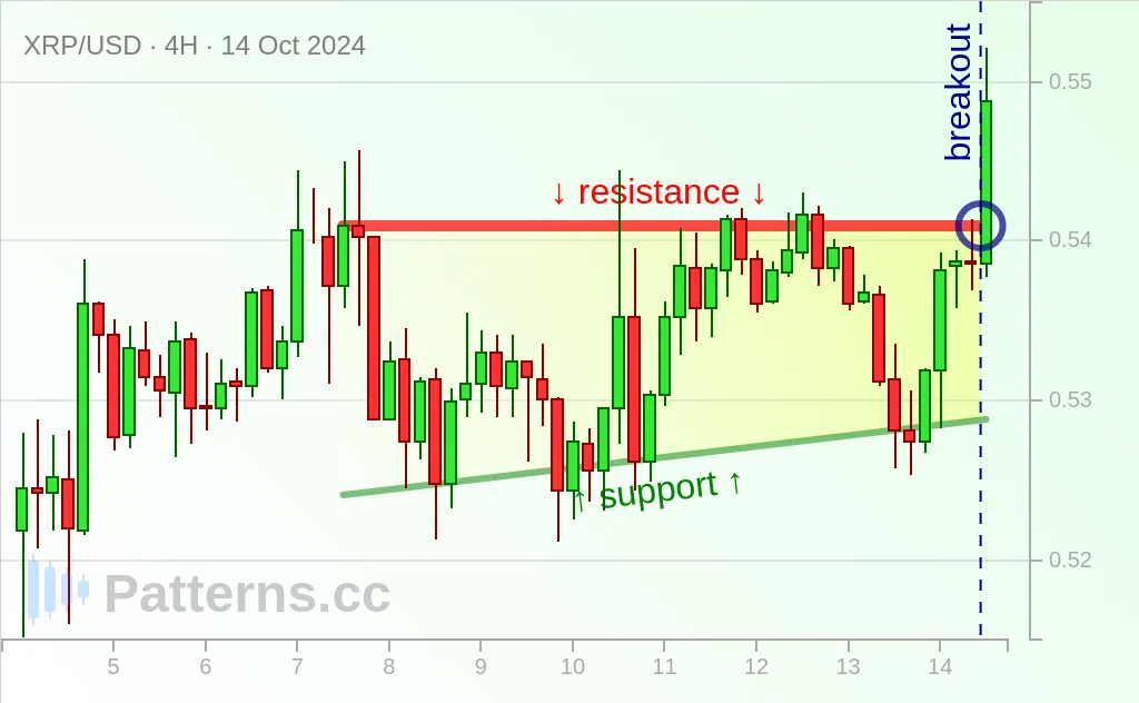 Ripple: Rectangle 14 oct. 2024