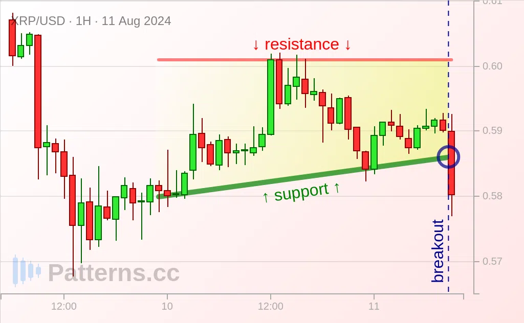 Ripple: Rectangle 08/11/2024