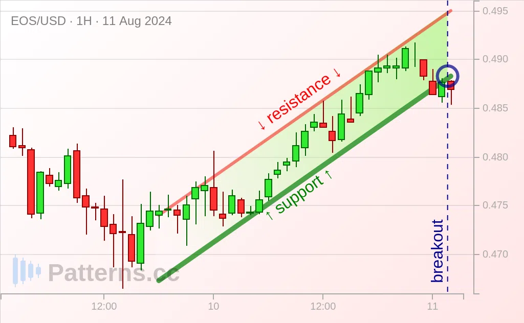 EOS: Bayrak Ayı Form 11 Ağu 2024