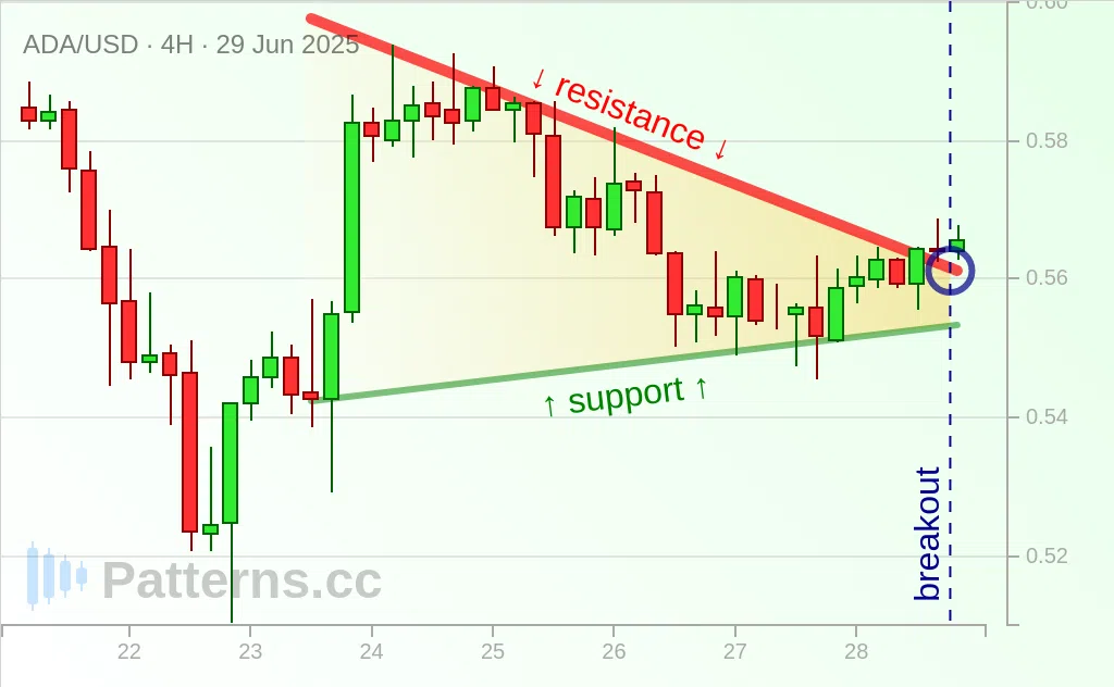 Cardano: Pennant 29/06/2025