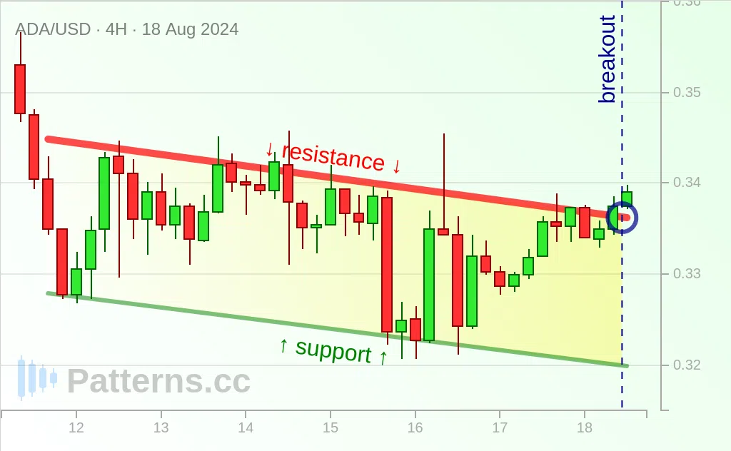 Cardano: Canale discendente 18/08/2024