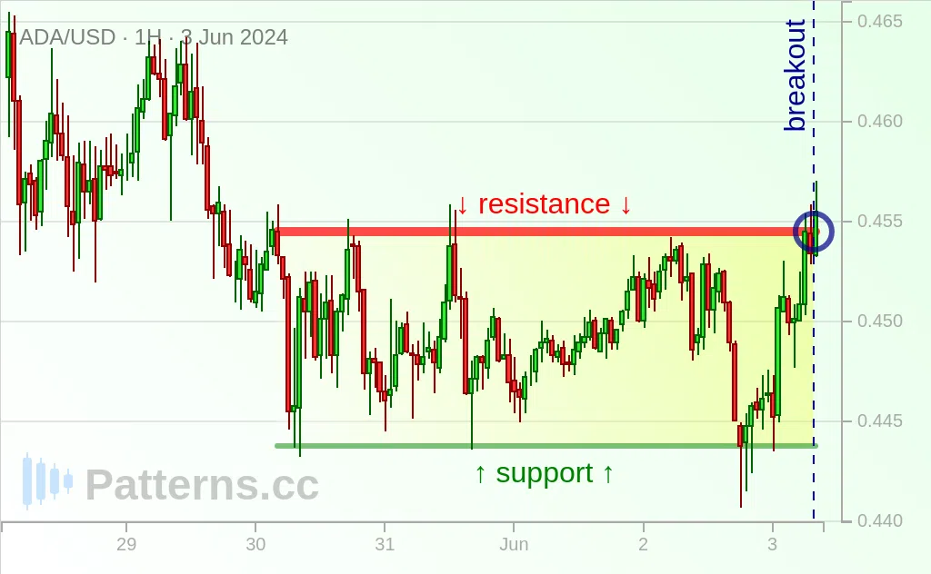 Cardano: Rectangle 06/03/2024