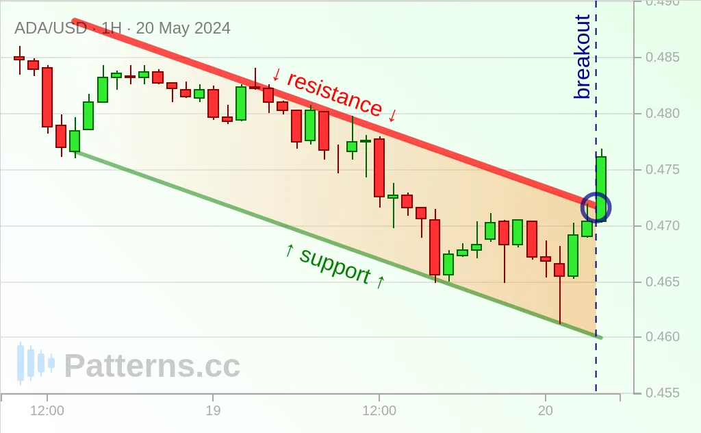 Cardano: Canale discendente 20/05/2024