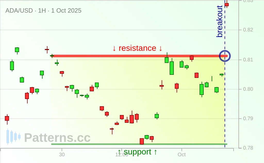 Cardano: Rectangle 10/01/2025