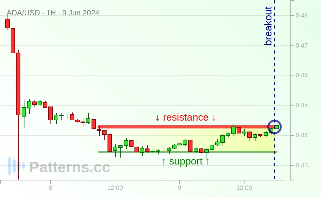 Cardano: Rectangle 06/09/2024