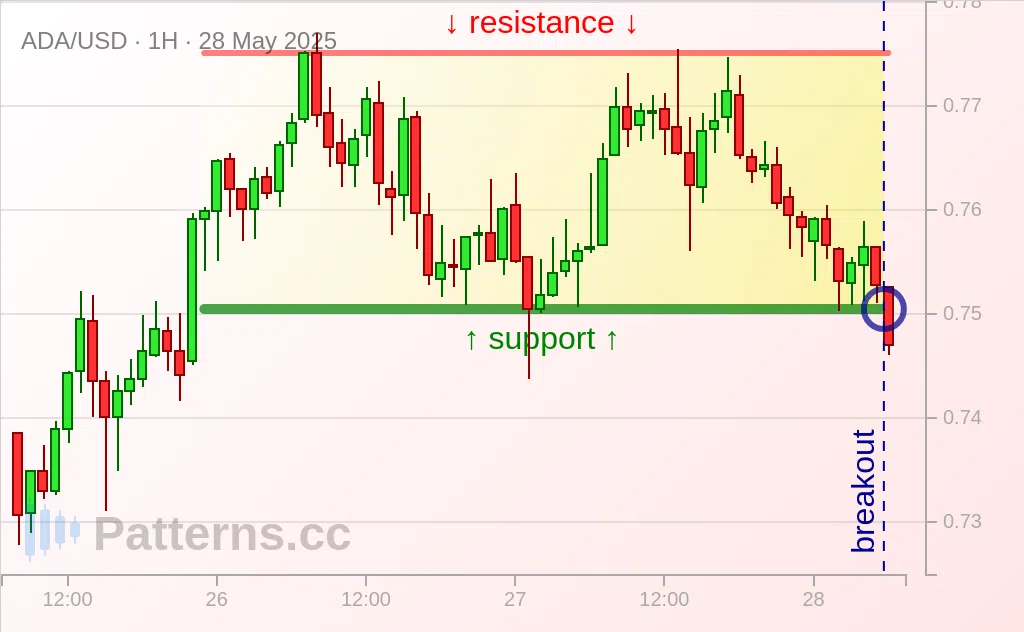 Cardano: Rechteck 28.05.2025