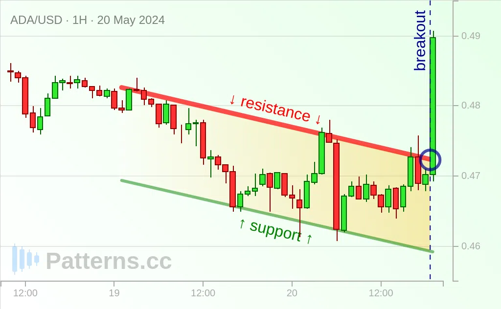 Cardano: Canal Descendente 20/05/2024